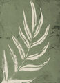 Image Not Available